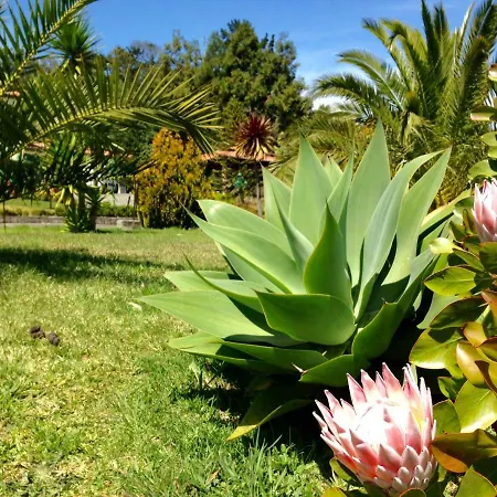 Madeira Holiday Villa *
