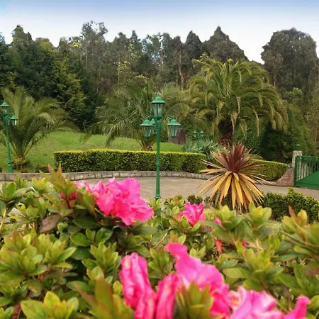 Madeira Holiday Villa
